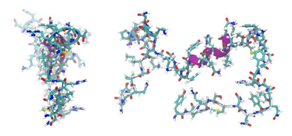 Peptide Peptide