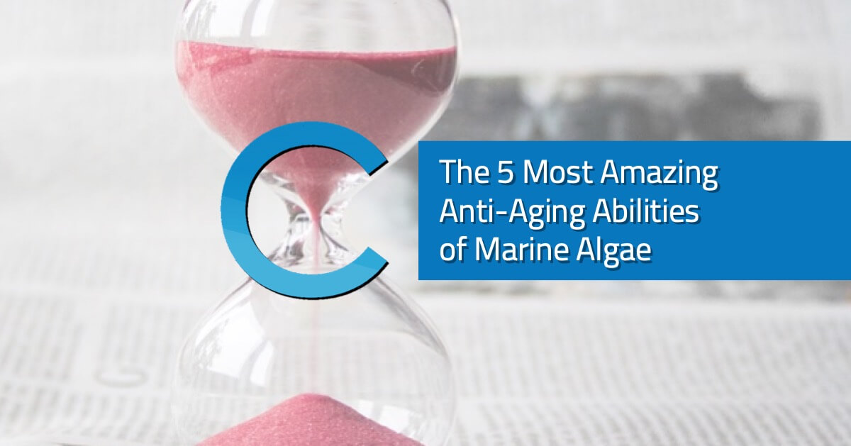 5 Amazing Anti-Aging Marine Algae
