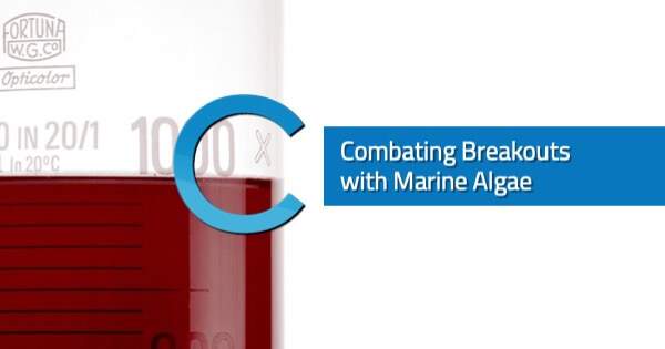 Combating Breakouts Algae