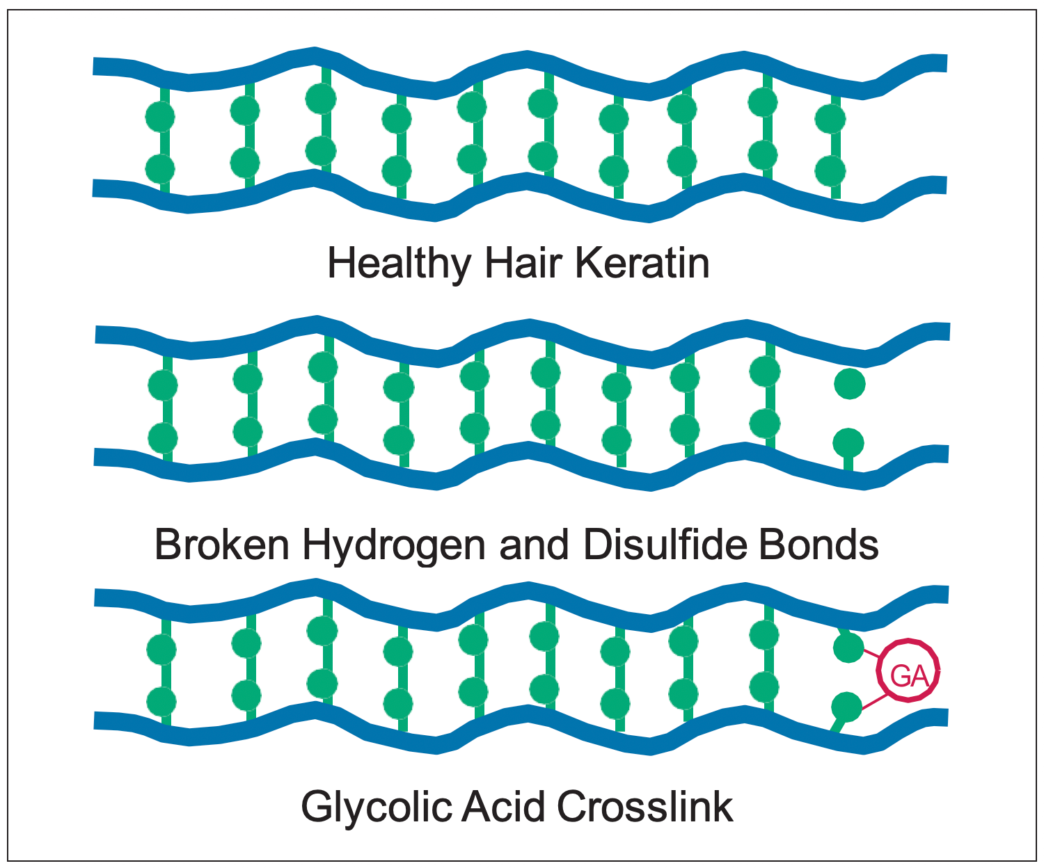 Figure 3: Glycolic acid interacts with broken bonds and helps repair crosslinks between -keratin cross slices.