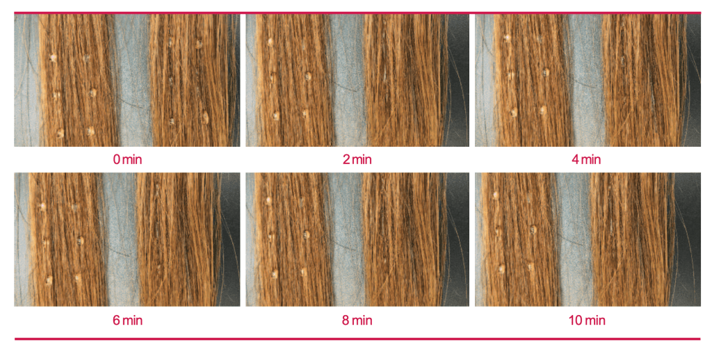 Figure 6: Absorption of water droplets into hair. Left: hair treated with 7% glycolic acid solution; right: hair treated with 7% citric acid solution.