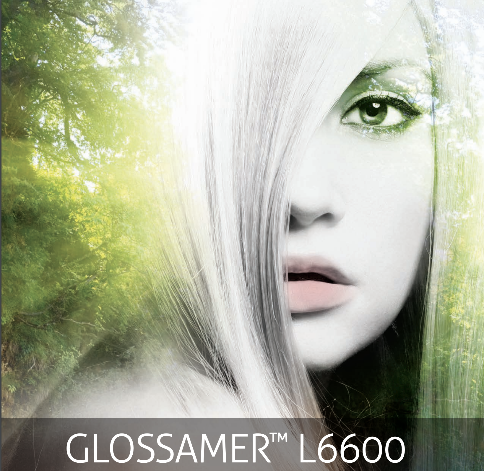 Glossamer L6600