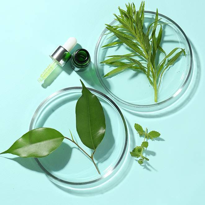 Botanical Extracts